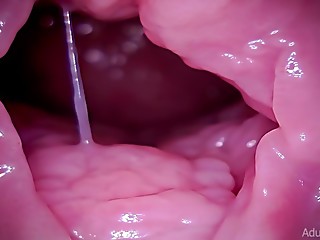 Exclusive, Squirting, Orgasm, Amateur, Pussy, Hardcore, Close-up, Massive, Fetish, Solo, Anal, Blowjob, Creampie, Cumshot, Fucking, Cum, Webcam