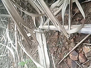 Ganne ke khet me jor jor se choda
