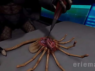 AvP Maternity Ward Hive