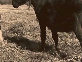 'Beauty & The Beast', My Secret Life